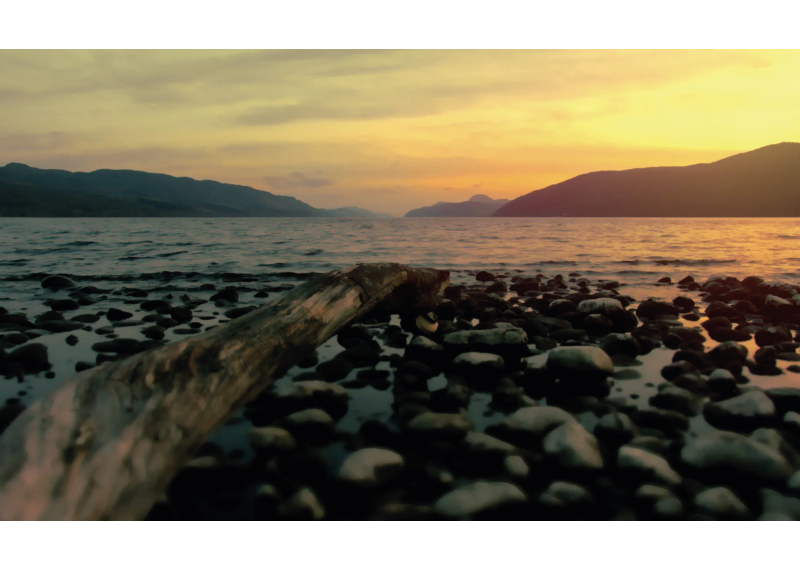 00 The Maples Inverness