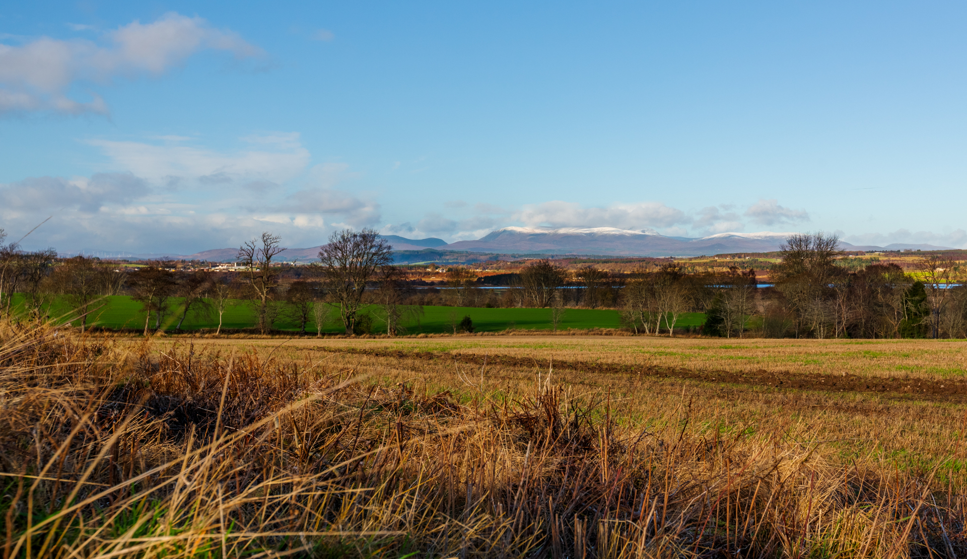 Highland View Views