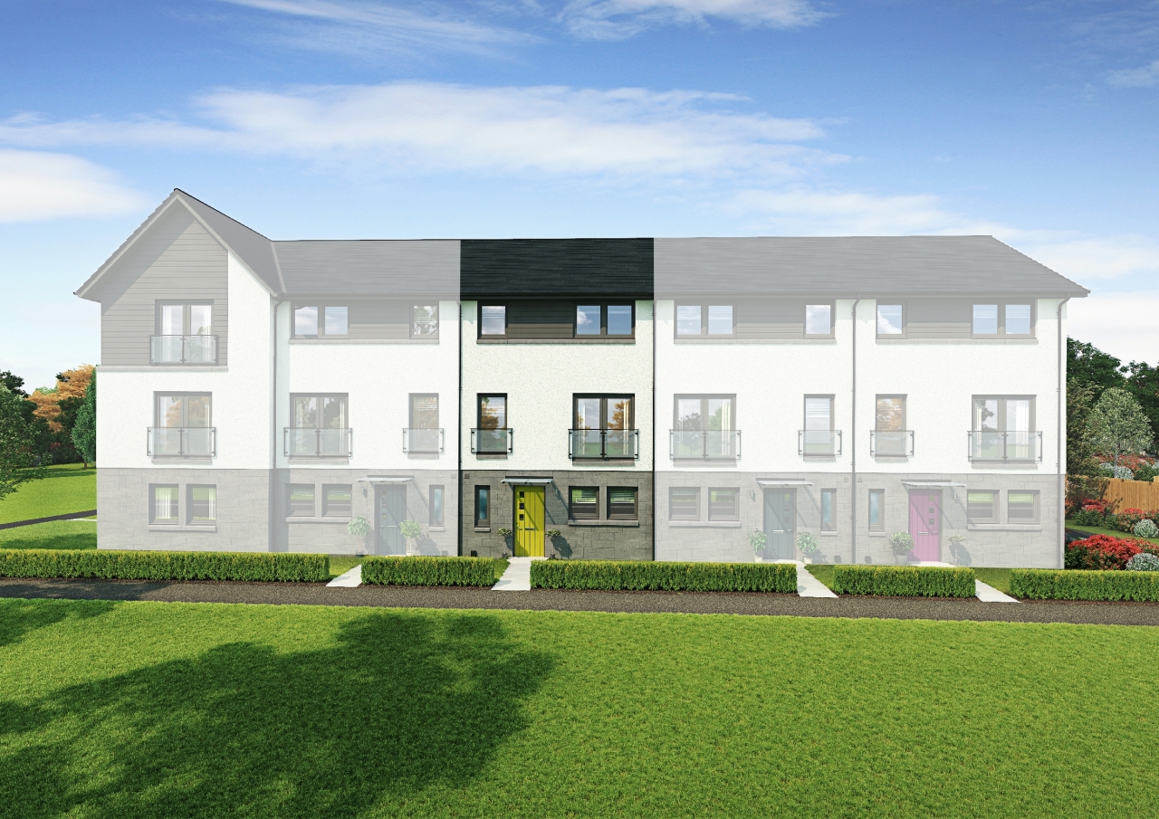 Aspen plot 313