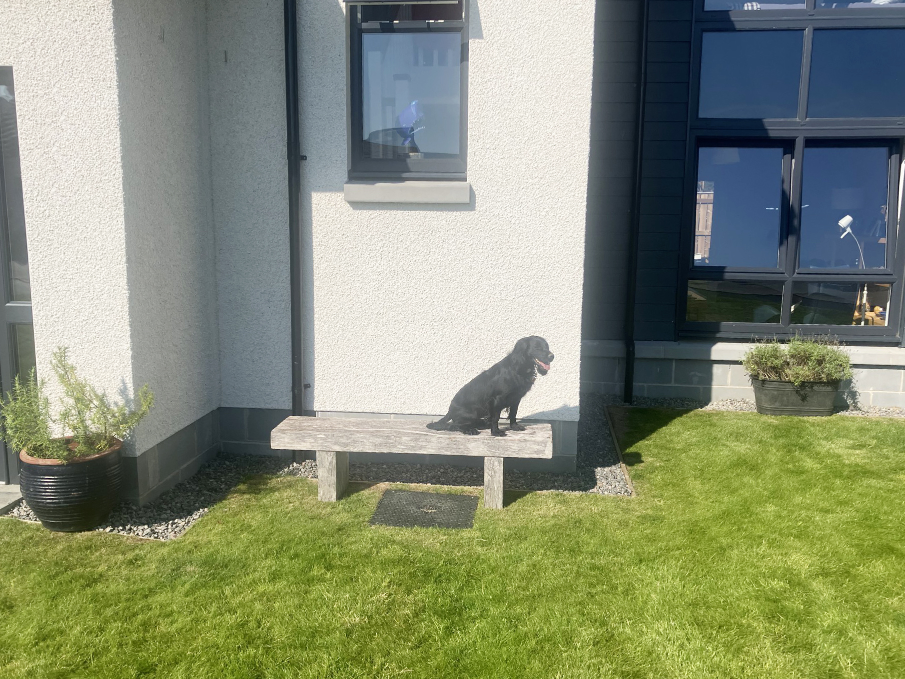 Lillias dog Poppy outside her new home (2)