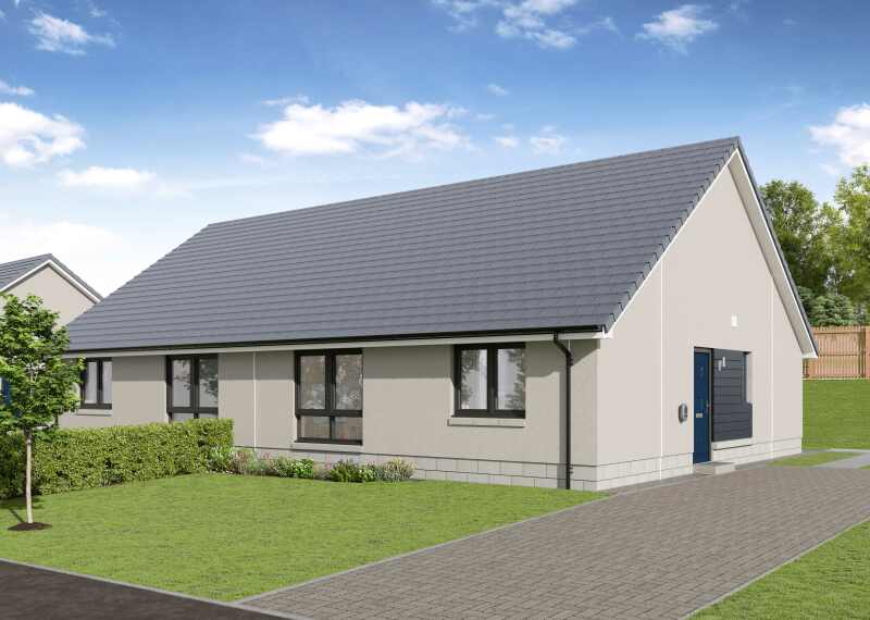 Conon Green Birch Right