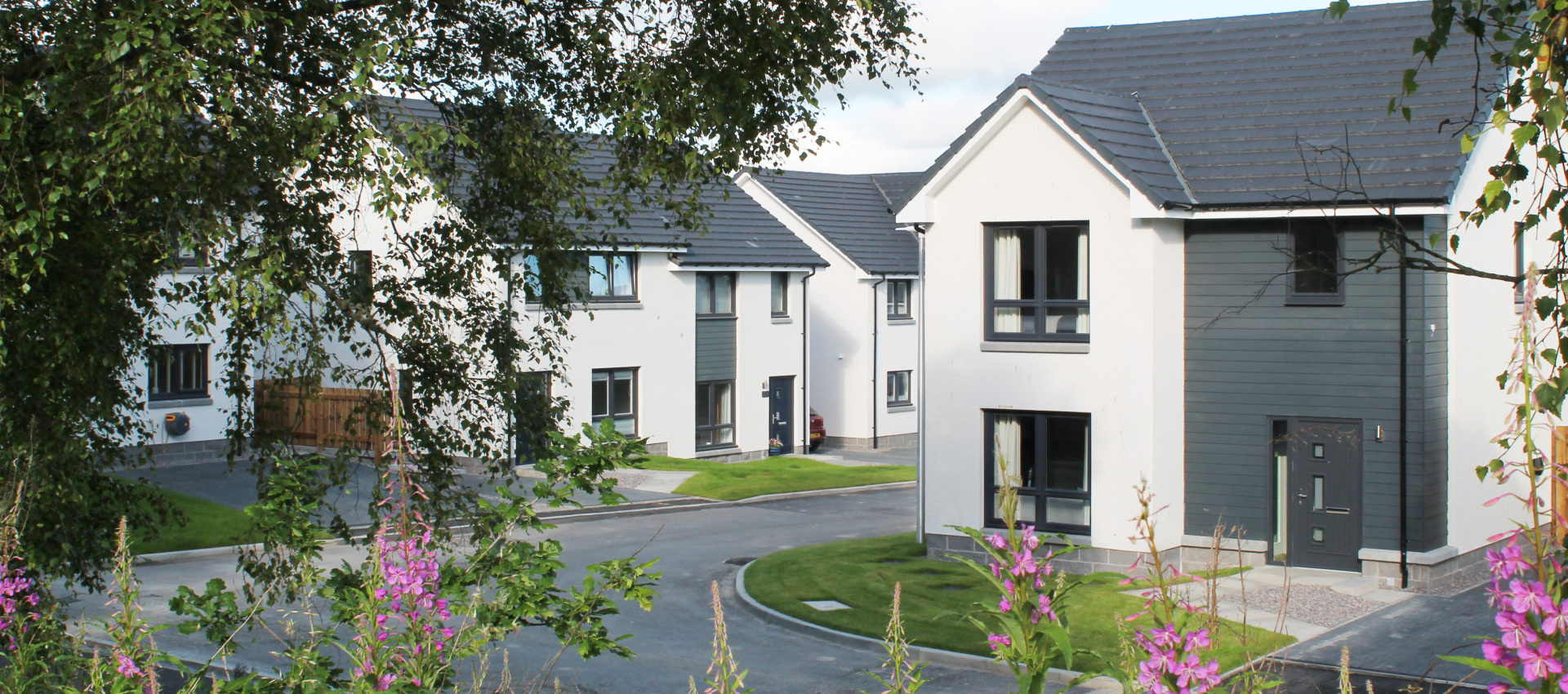 Conon Woods street scene