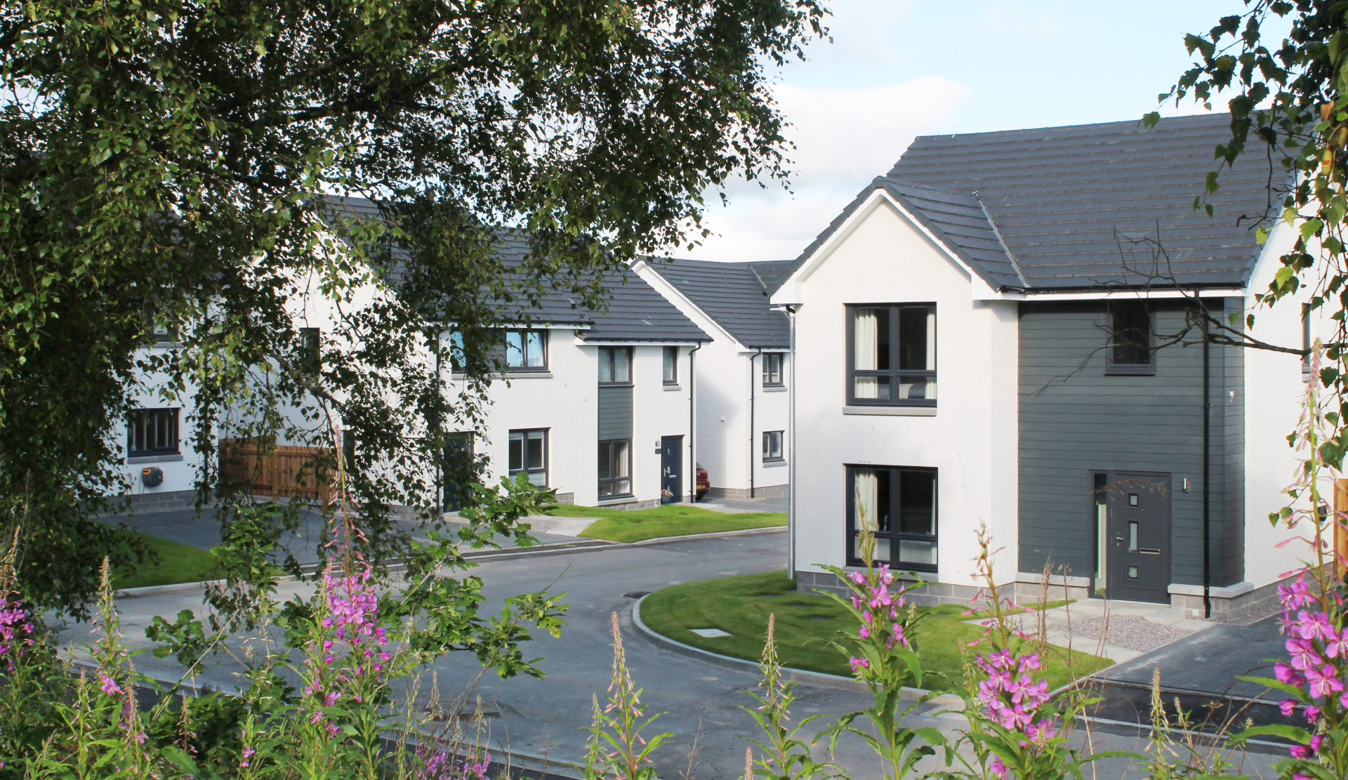 Conon Woods street scene